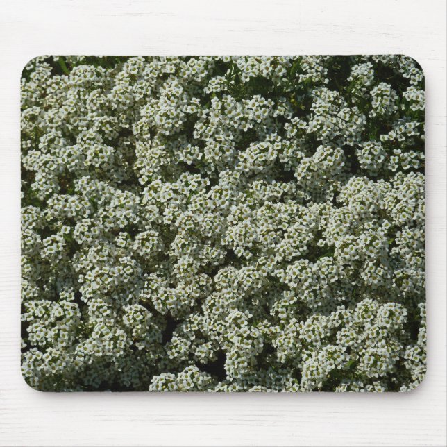 Tapis De Souris Fleurs d'Alyssum doux Floral blanc (Devant)