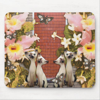 Tapis De Souris fleurs d'amour de kats de minou