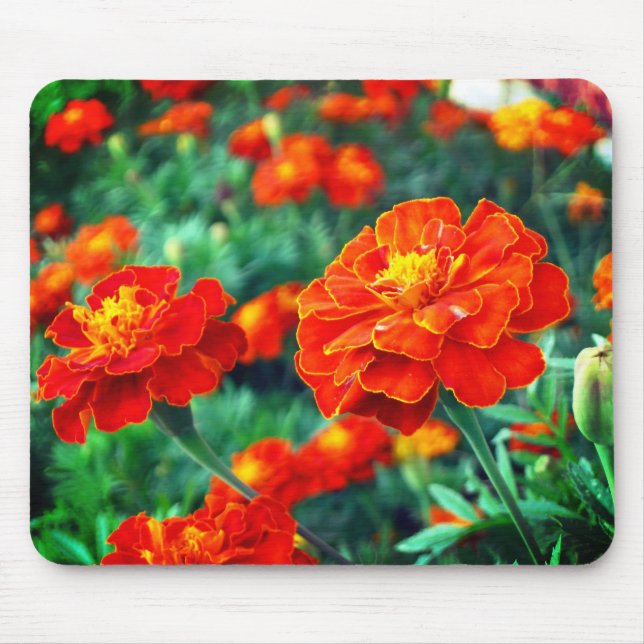 Tapis De Souris Fleurs dans le jardin (Devant)
