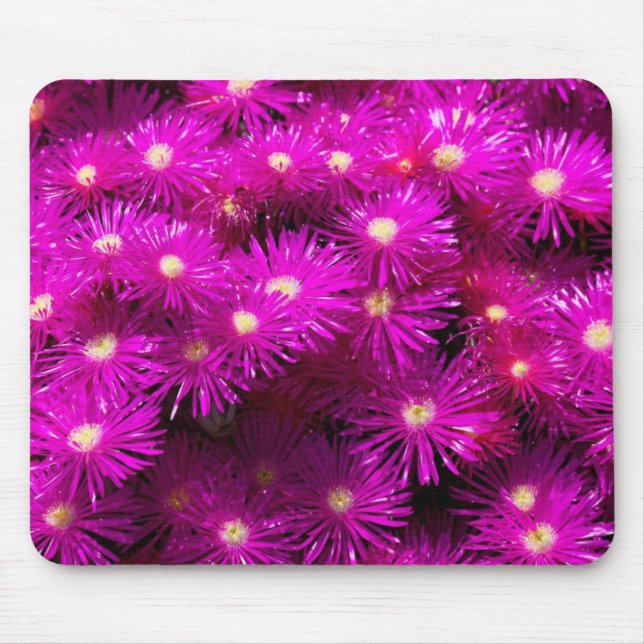 Tapis De Souris Fleurs d'aster rose (Devant)