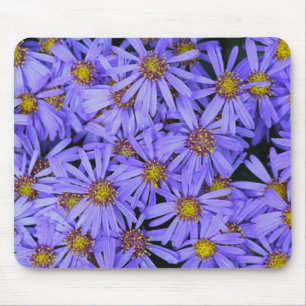 Tapis De Souris Fleurs d'Aster violet à RHS Garden Wisley