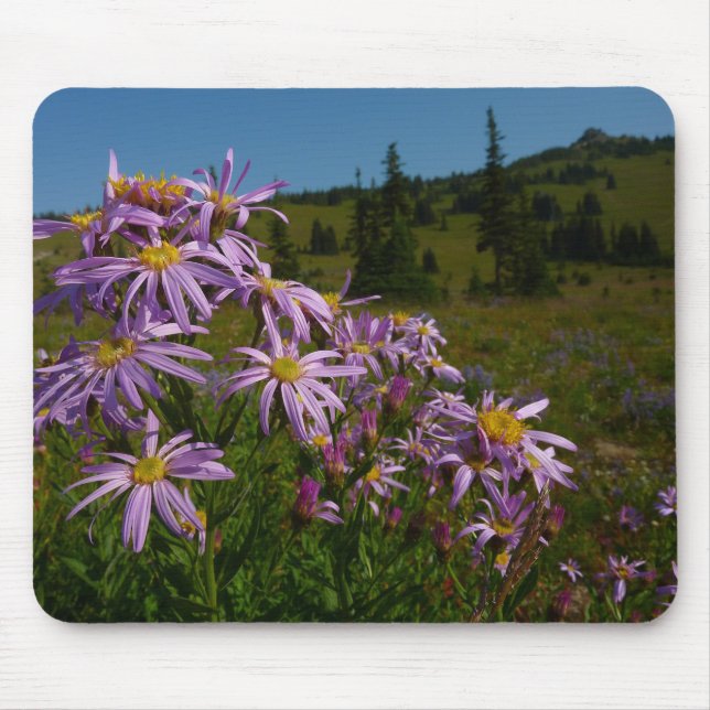 Tapis De Souris Fleurs d'aster violettes au mont Rainier (Devant)