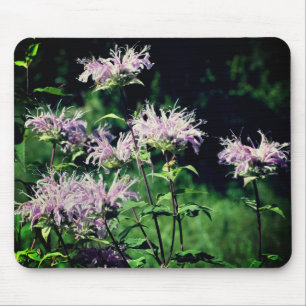 Tapis De Souris Fleurs de baume d'abeille violet