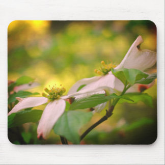 Tapis De Souris Fleurs de bois de chien blanc