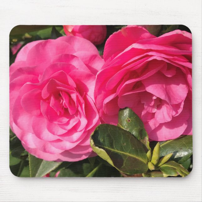Tapis De Souris Fleurs de Camellia rose foncé (Devant)