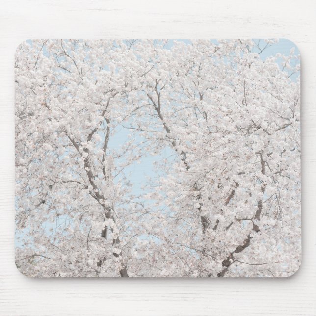 Tapis De Souris fleurs de cerisier (Devant)