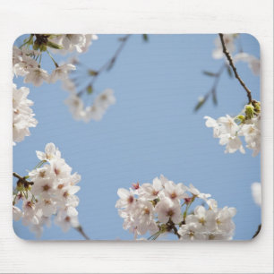 Tapis De Souris Fleurs de cerisier