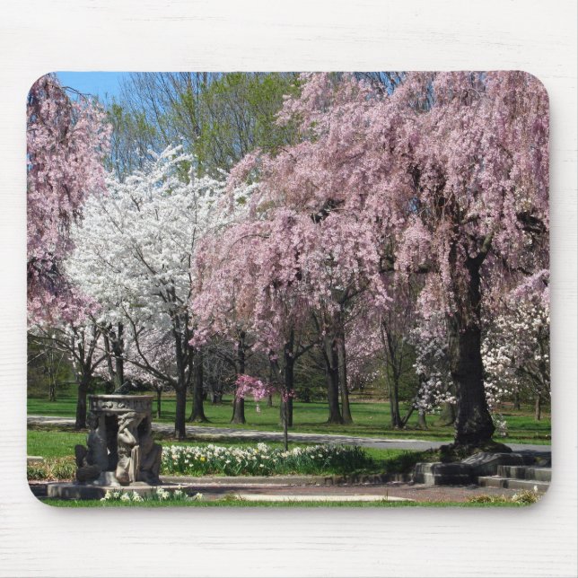 Tapis De Souris Fleurs de cerisier à Philadelphie Mousepad (Devant)