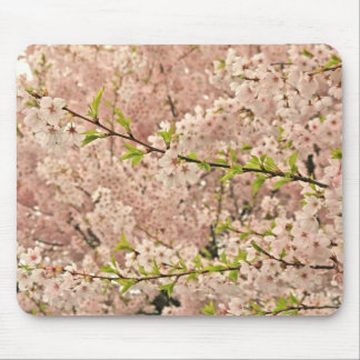 Tapis De Souris Fleurs de cerisier au printemps