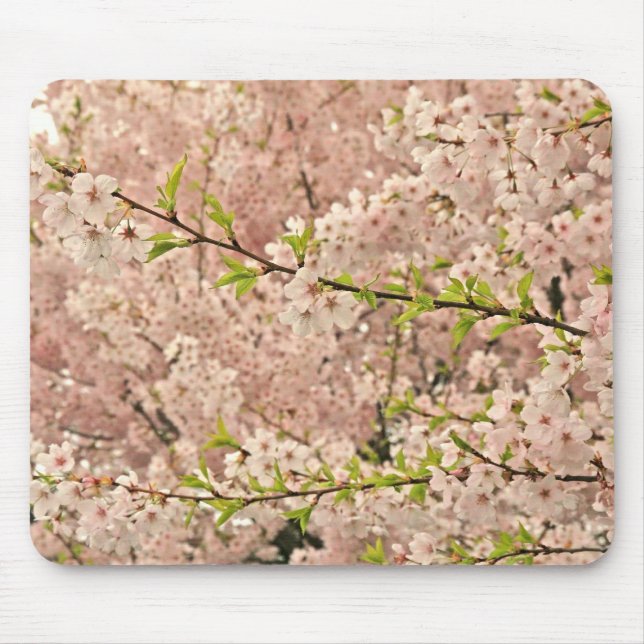 Tapis De Souris Fleurs de cerisier au printemps (Devant)