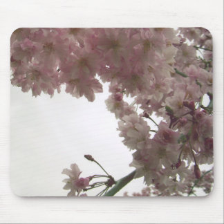 Tapis De Souris Fleurs de cerisier Mousepad