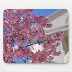 Tapis De Souris Fleurs de cerisier Sakura Americana