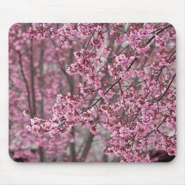 Tapis De Souris Fleurs de cerisier Sakura rose flottant (Devant)