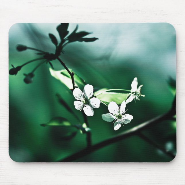 Tapis De Souris Fleurs de cerisiers blancs (Devant)