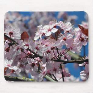 Tapis De Souris Fleurs de cerisiers roses
