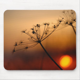 Tapis De Souris Fleurs de champ de coucher du soleil