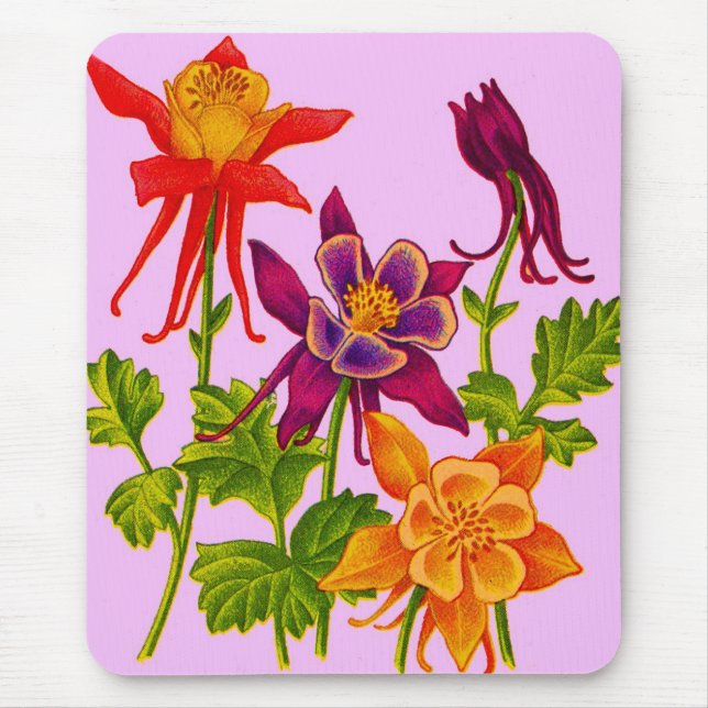 Tapis De Souris fleurs de columbine (Devant)