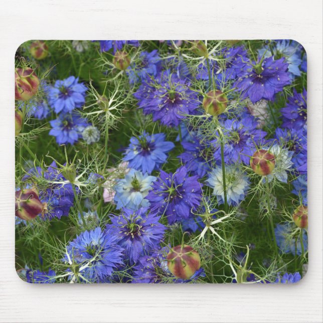 Tapis De Souris Fleurs de corail bleu (Devant)