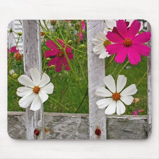 Tapis De Souris Fleurs de Cosmos dans une vieille clôture (Devant)