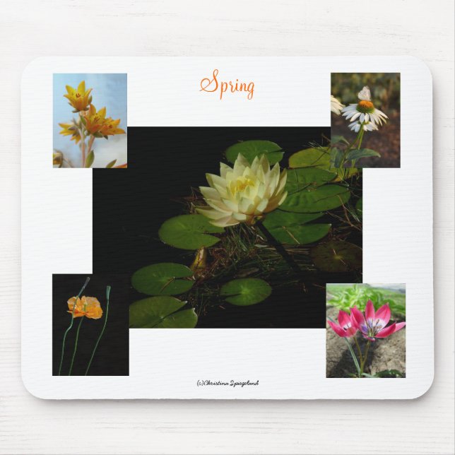 Tapis De Souris Fleurs de Crocus de printemps Mousepad (Devant)