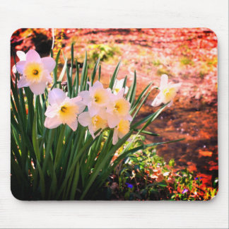 Tapis De Souris Fleurs De Daffodiles Blanches Par Brook