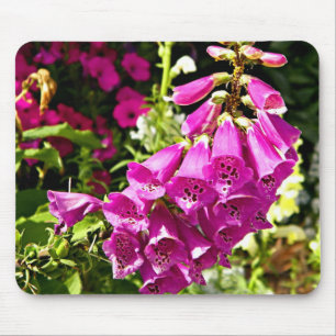 Tapis De Souris Fleurs de digitale rose