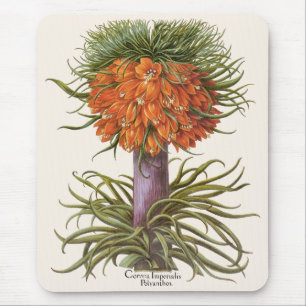 Tapis De Souris Fleurs de Fritillaire Orange Vintage Basilius Besl