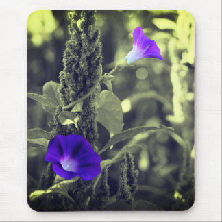 Tapis De Souris Fleurs de gloire du matin