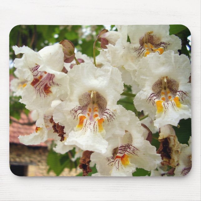 Tapis De Souris Fleurs de haricots indiens Mat (Devant)