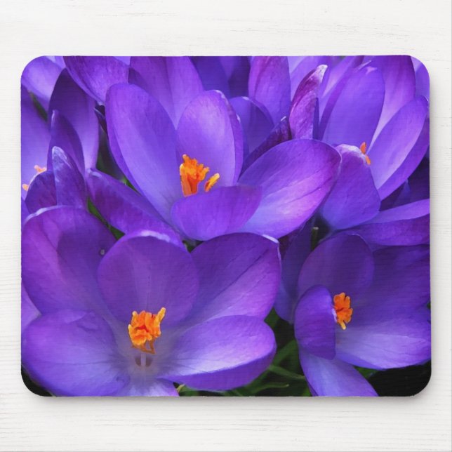 Tapis De Souris Fleurs de jardin de crocus violets mousepad (Devant)