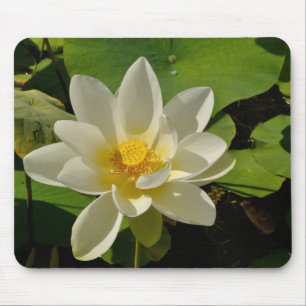 Tapis De Souris Fleurs de Lotus blancs dans un étang