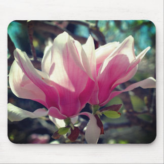Tapis De Souris Fleurs de Magnolia Rose