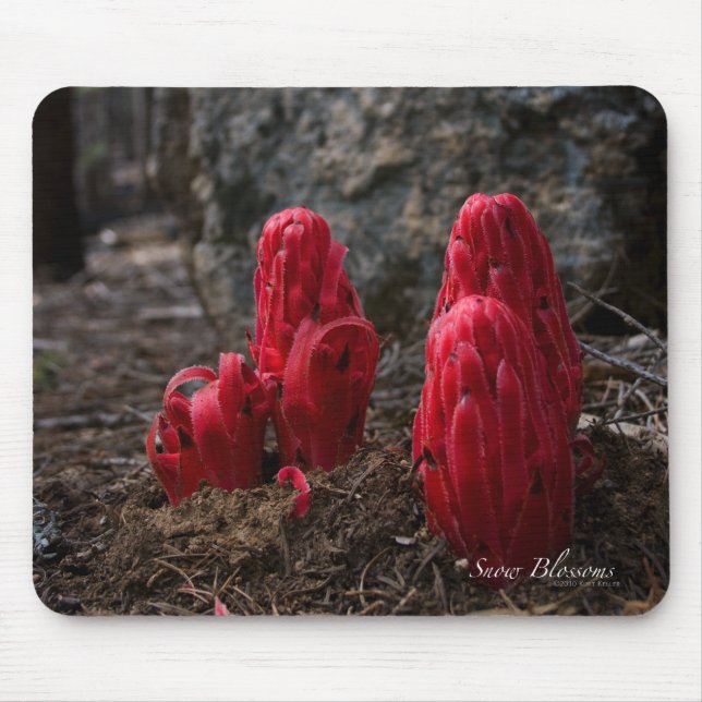 Tapis De Souris Fleurs de neige (Devant)