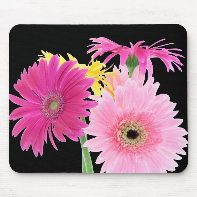 Tapis De Souris Fleurs de Piink de marguerite de Gerbera (Devant)