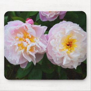 Tapis De Souris Fleurs de pivoine