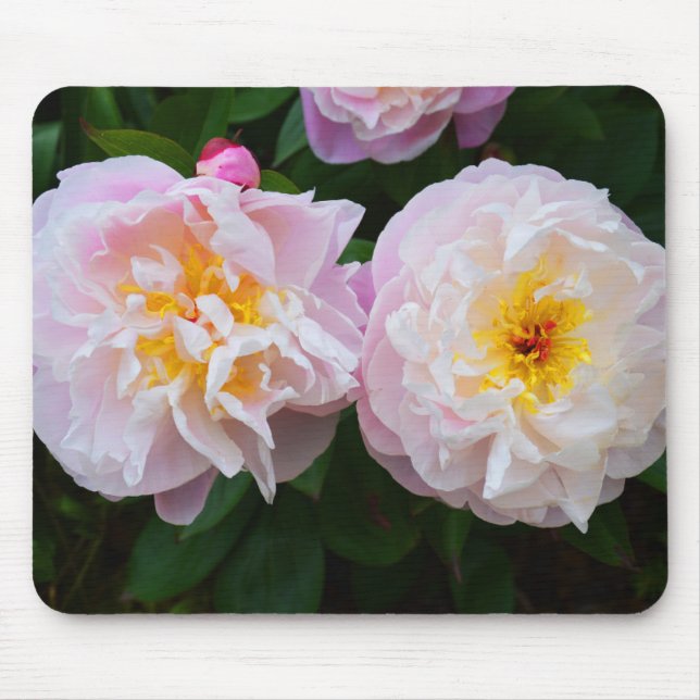 Tapis De Souris Fleurs de pivoine (Devant)
