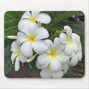Tapis De Souris Fleurs de Plumeria d'Hawaï