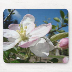 Tapis de souris FLEURS DE POMMIER Rose Tapis de so
