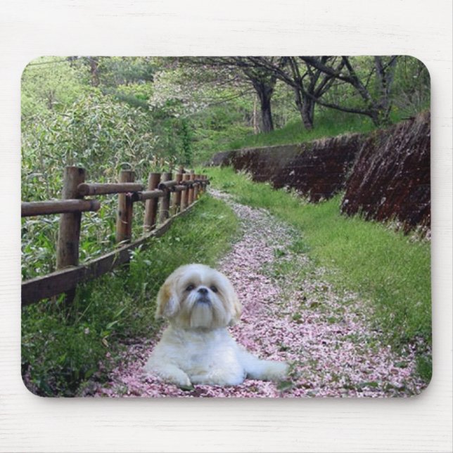 Tapis De Souris Fleurs de pourpre de Shih Tzu Mousepad (Devant)