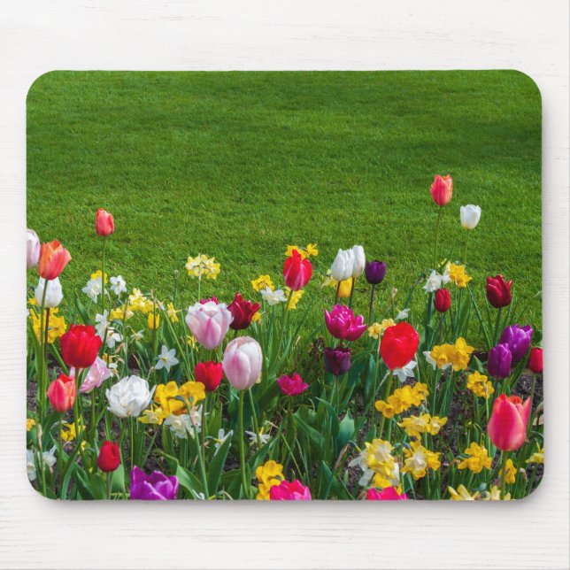 Tapis De Souris Fleurs de printemps (Devant)