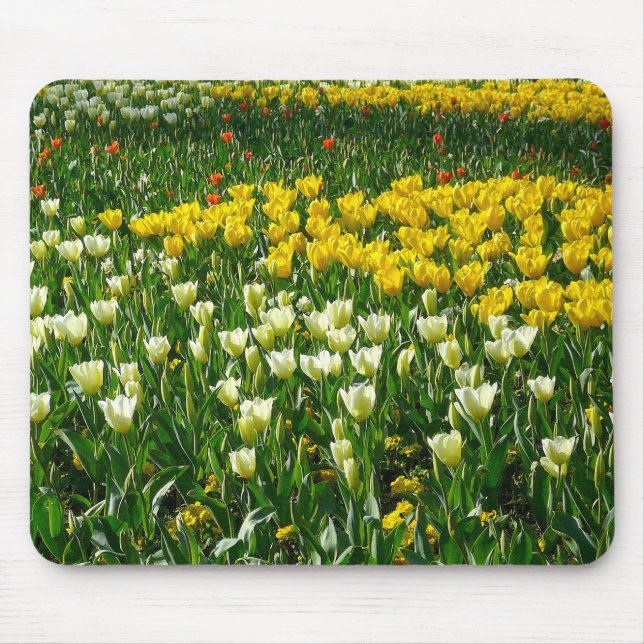 Tapis De Souris Fleurs de printemps (Devant)