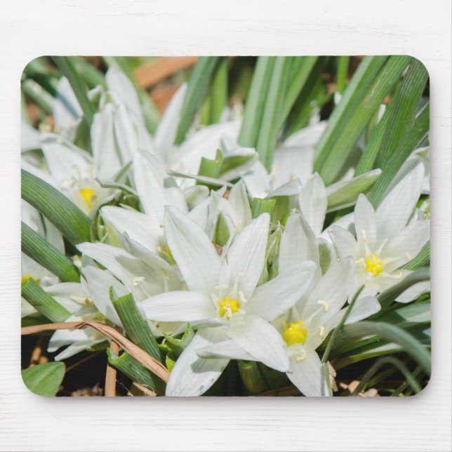 Tapis De Souris Fleurs de printemps (Devant)