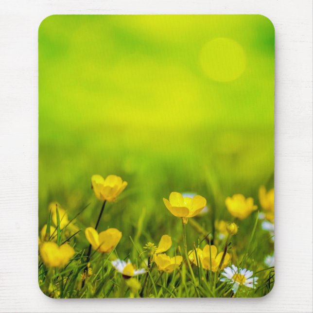 Tapis De Souris Fleurs de printemps arrière-plan (Devant)
