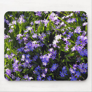 Tapis De Souris Fleurs de printemps de Squill Bleu