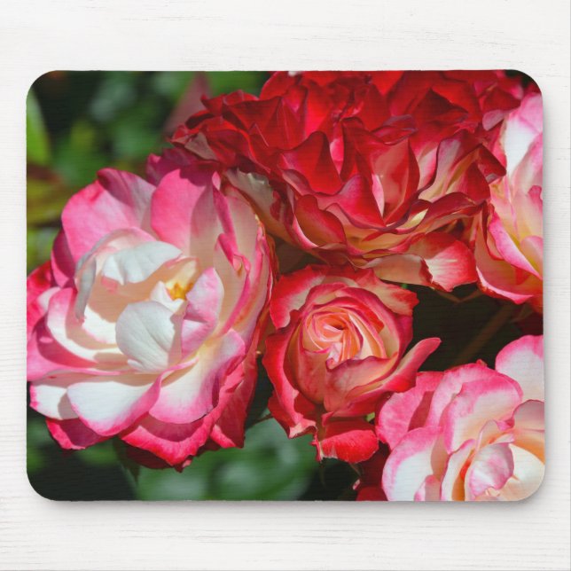 Tapis De Souris Fleurs de rose rose (Devant)