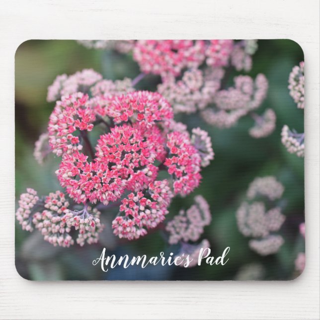 Tapis De Souris Fleurs de Sedum en rose et blanc (Devant)