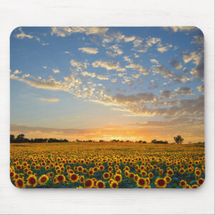 Tapis De Souris Fleurs de soleil au coucher du soleil
