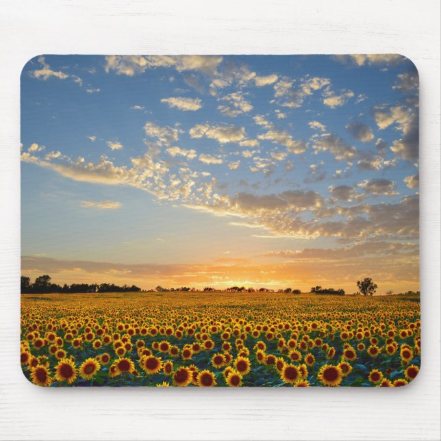 Tapis De Souris Fleurs de soleil au coucher du soleil (Devant)