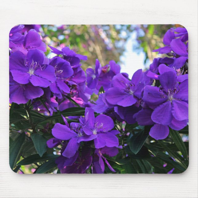 Tapis De Souris Fleurs de Tibouchina (Devant)