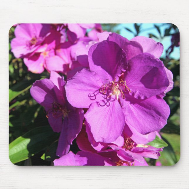 Tapis De Souris Fleurs de Tibouchina (Devant)